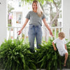 💛 Glowing Boston Ferns with Lights – 🌿 Zero Watering, Zero Maintenance