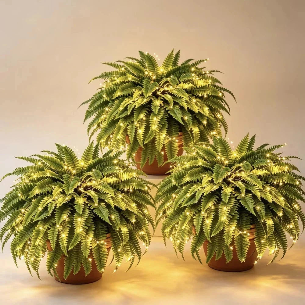 💛 Glowing Boston Ferns with Lights – 🌿 Zero Watering, Zero Maintenance