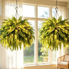 💛 Glowing Boston Ferns with Lights – 🌿 Zero Watering, Zero Maintenance