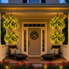💛 Glowing Boston Ferns with Lights – 🌿 Zero Watering, Zero Maintenance