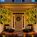 💛 Glowing Boston Ferns with Lights – 🌿 Zero Watering, Zero Maintenance