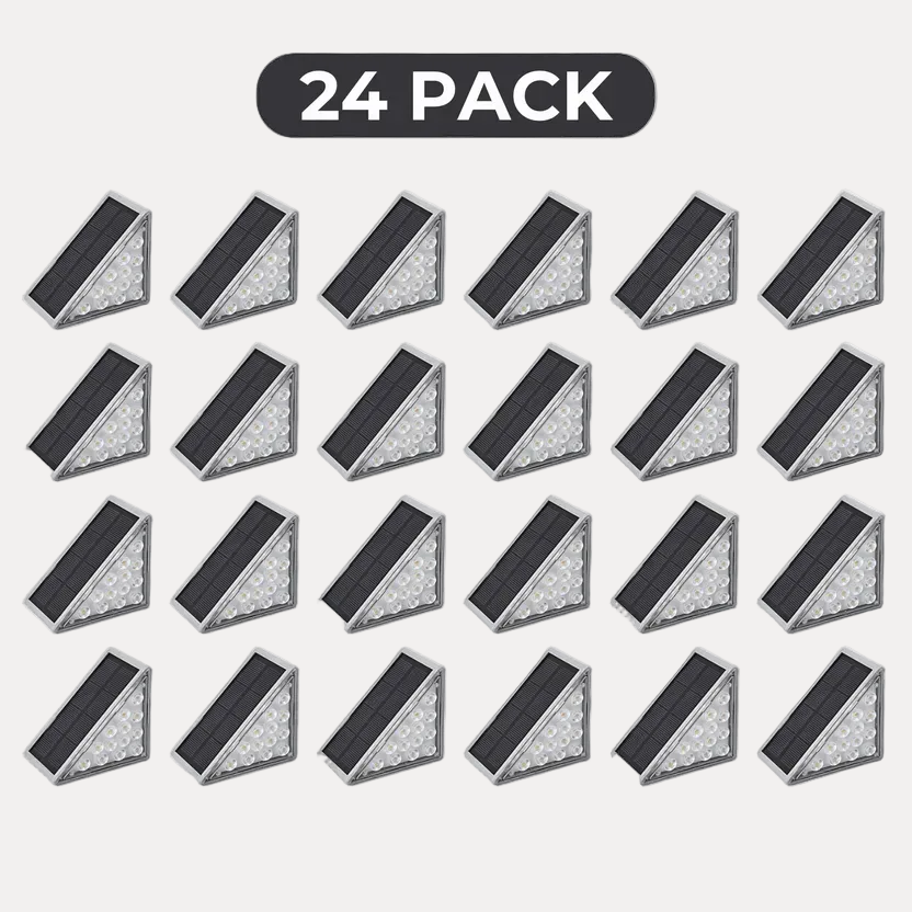 24 Pack - Most Popular