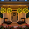 💛 Glowing Boston Ferns with Lights – 🌿 Zero Watering, Zero Maintenance