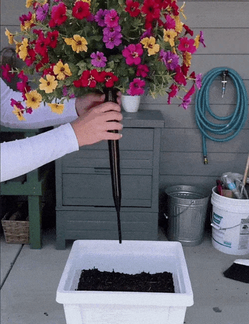 EverVio Violet Garden Ball
