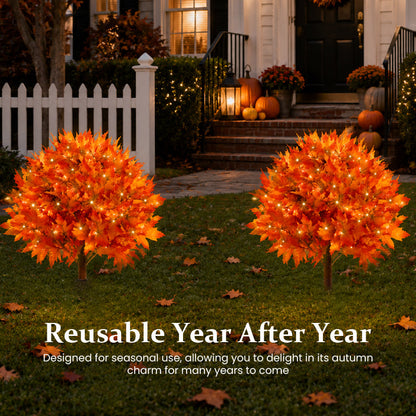 🔥 Last Day Sale | Autumn Glow Maple Tree Light