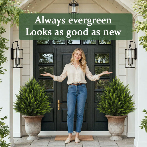 Evergreen Porch Cedar Accent Tree