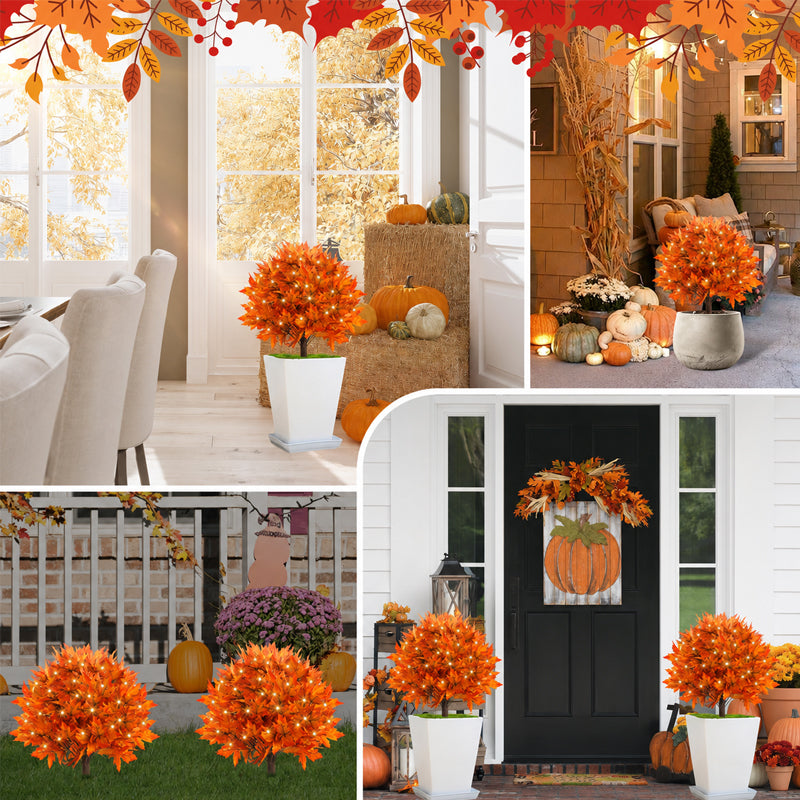 🔥 Last Day Sale | Autumn Glow Maple Tree Light