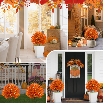 🔥 Last Day Sale | Autumn Glow Maple Tree Light