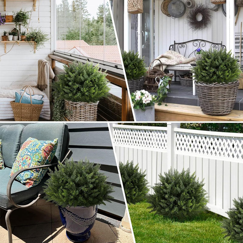 Evergreen Porch Cedar Accent Tree
