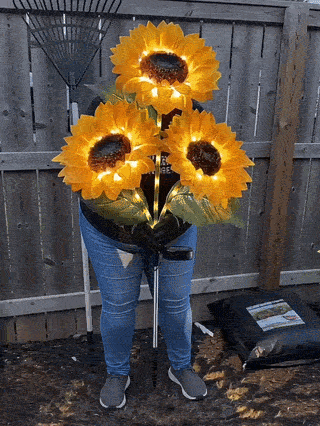 Solar Sunflower Glow Lights