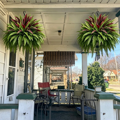 🔥 Last Day Sale | UV Resistant Artificial Fern And Red Dracaena
