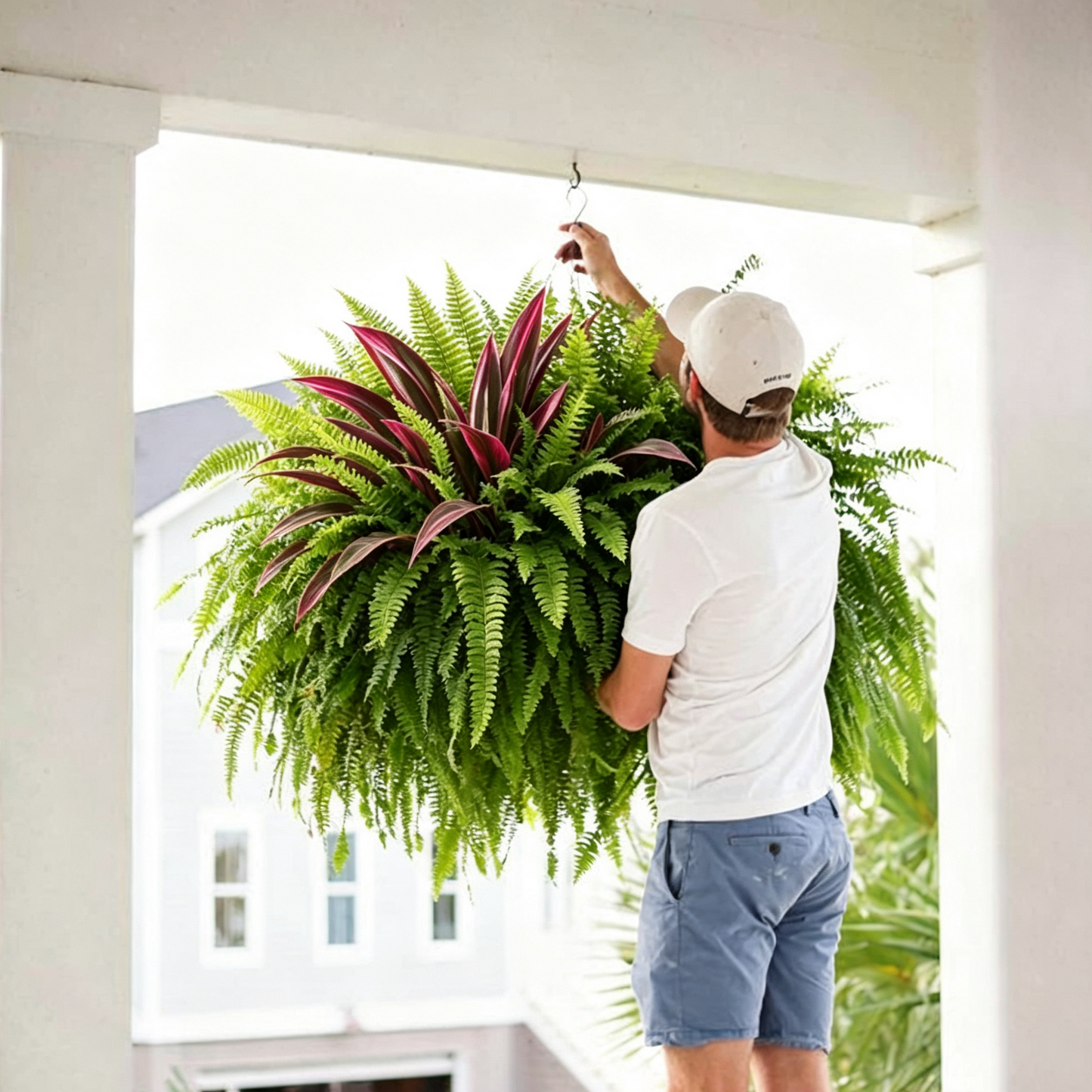 🔥 Last Day Sale | UV Resistant Artificial Fern And Red Dracaena