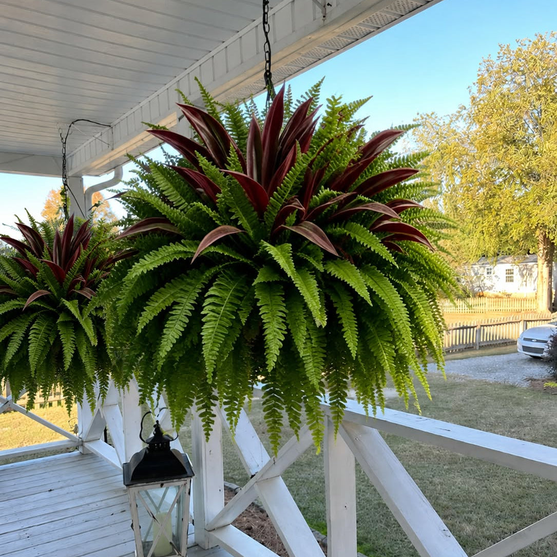 🔥 Last Day Sale | UV Resistant Artificial Fern And Red Dracaena