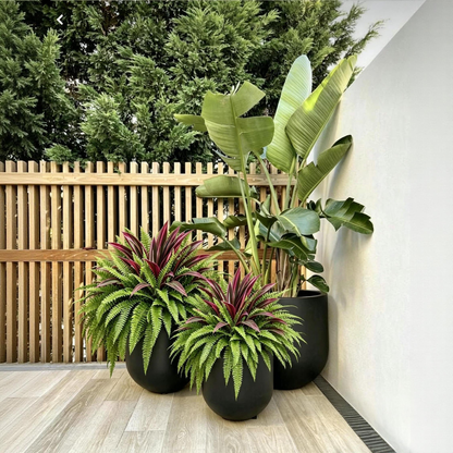 🔥 Last Day Sale | UV Resistant Artificial Fern And Red Dracaena