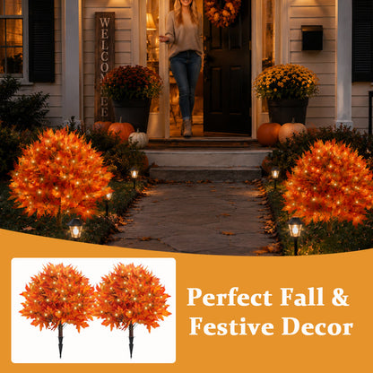 🔥 Last Day Sale | Autumn Glow Maple Tree Light