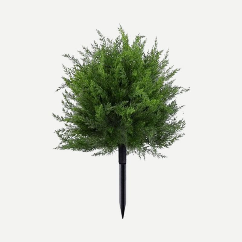 Evergreen Porch Cedar Accent Tree