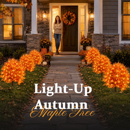 🔥 Last Day Sale | Autumn Glow Maple Tree Light