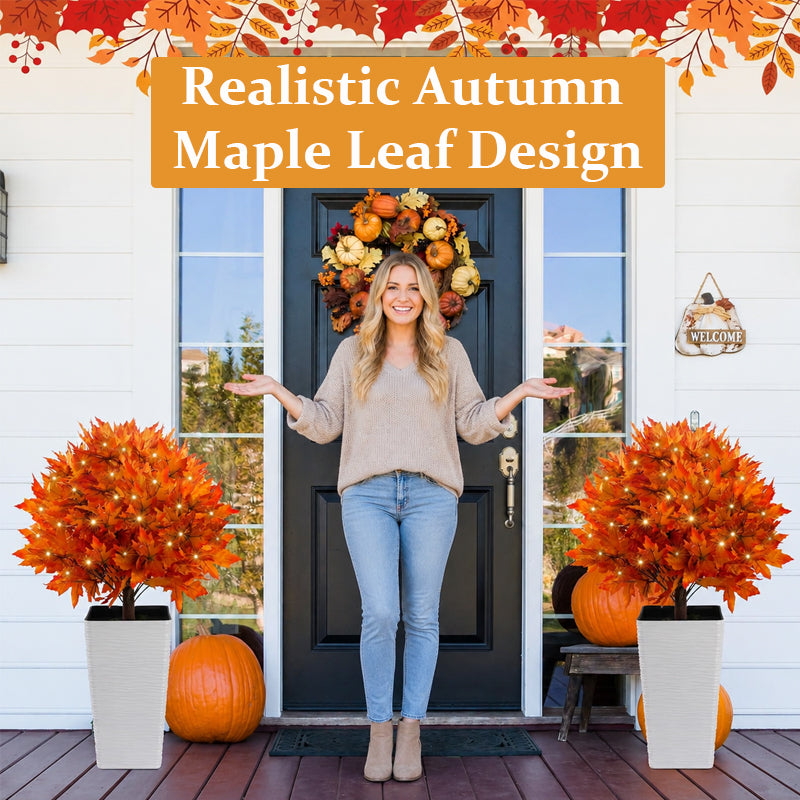 🔥 Last Day Sale | Autumn Glow Maple Tree Light