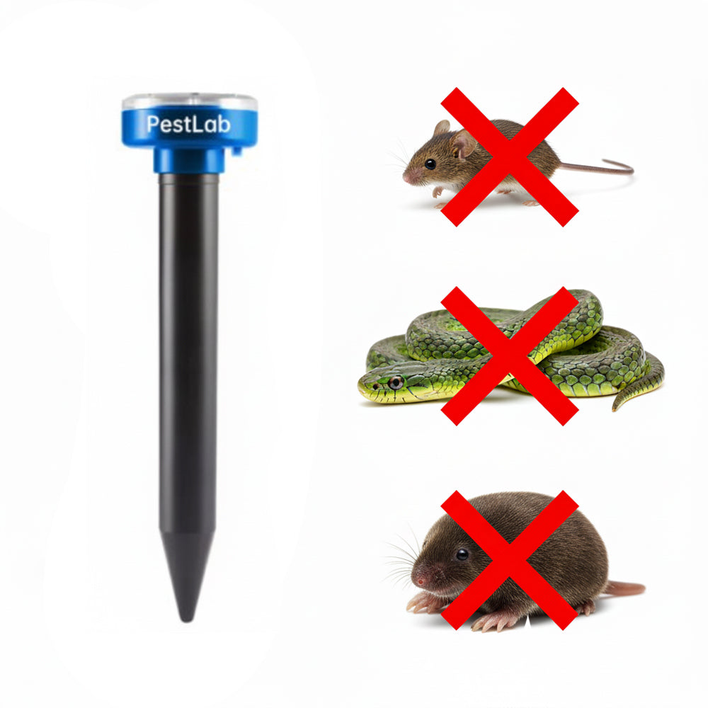 Protect Your Flowers & Patio From Moles, Voles, Snakes, Rodents 🐀