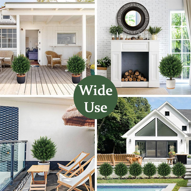 Evergreen Porch Cedar Accent Tree