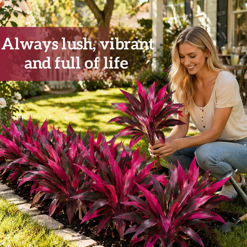 🔥 Last Day Sale | Lush Everlast Faux Ti Plant